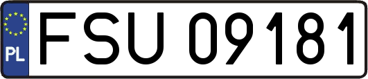 FSU09181