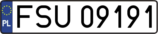 FSU09191