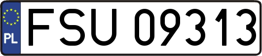 FSU09313