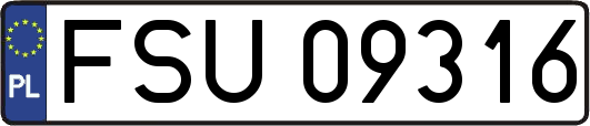 FSU09316