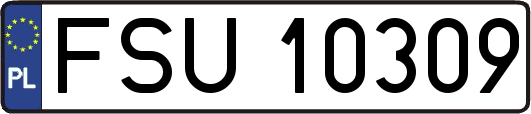 FSU10309