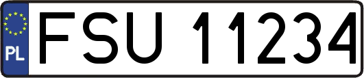 FSU11234