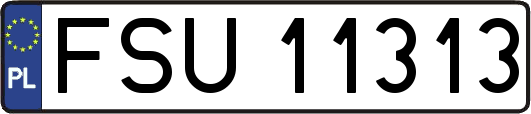 FSU11313