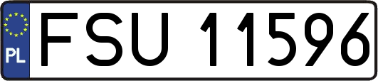 FSU11596