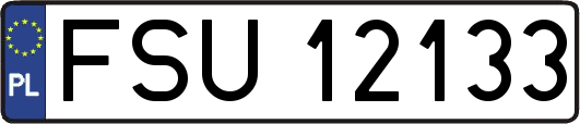 FSU12133