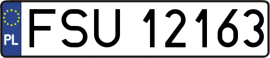 FSU12163