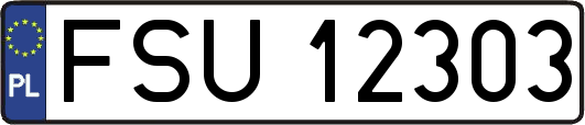 FSU12303