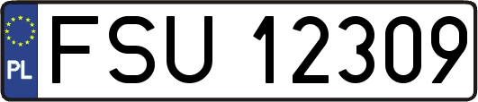 FSU12309