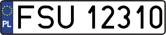 FSU12310