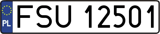 FSU12501