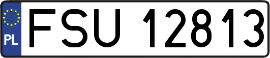 FSU12813