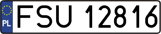 FSU12816