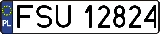 FSU12824
