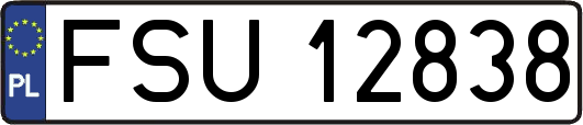 FSU12838