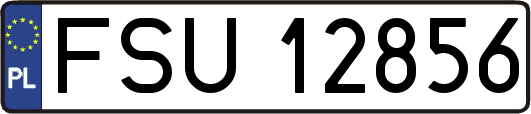 FSU12856
