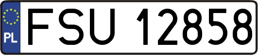 FSU12858