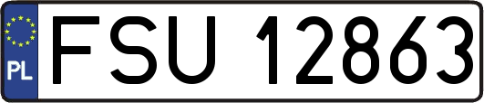 FSU12863