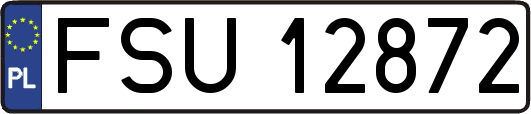 FSU12872