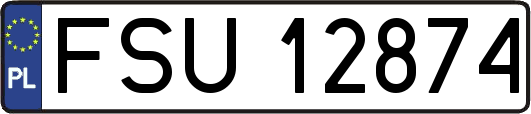 FSU12874