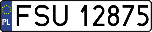 FSU12875