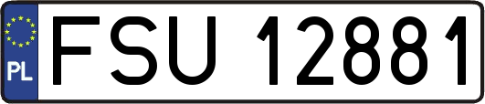 FSU12881