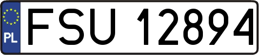 FSU12894