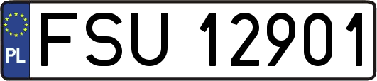 FSU12901