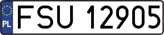 FSU12905