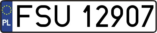 FSU12907