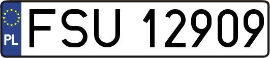 FSU12909