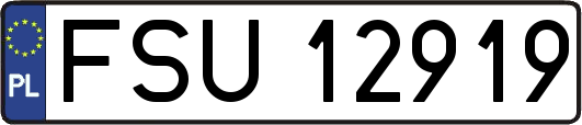 FSU12919