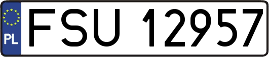 FSU12957