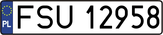 FSU12958