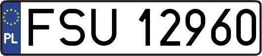 FSU12960