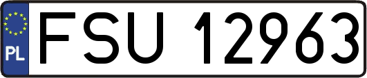 FSU12963