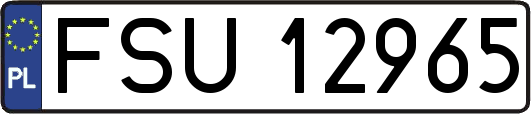 FSU12965