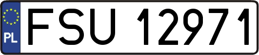FSU12971