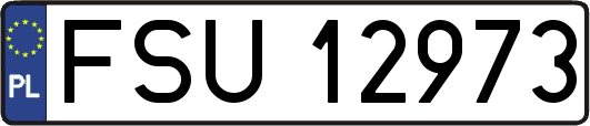 FSU12973