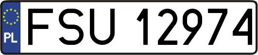 FSU12974