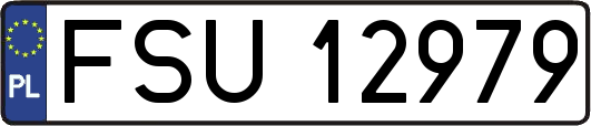 FSU12979