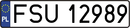 FSU12989