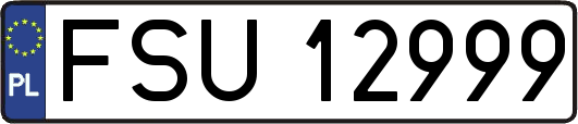 FSU12999
