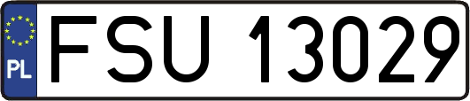 FSU13029
