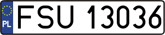 FSU13036