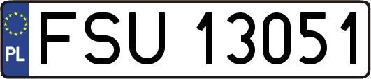 FSU13051
