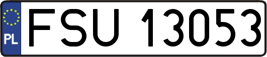 FSU13053