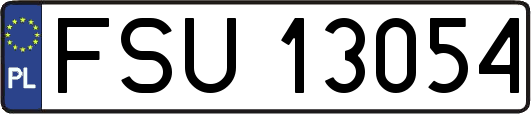 FSU13054