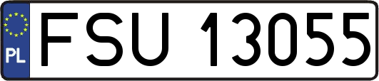 FSU13055