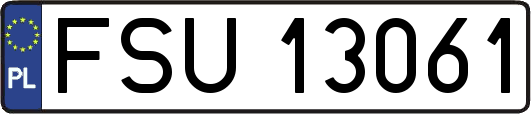 FSU13061