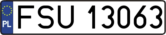 FSU13063
